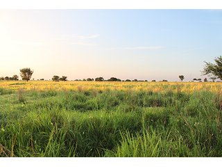Tract 7 - LAND AUCTION - 440+/- Acres offered in 15 Tracts in Tulsa County